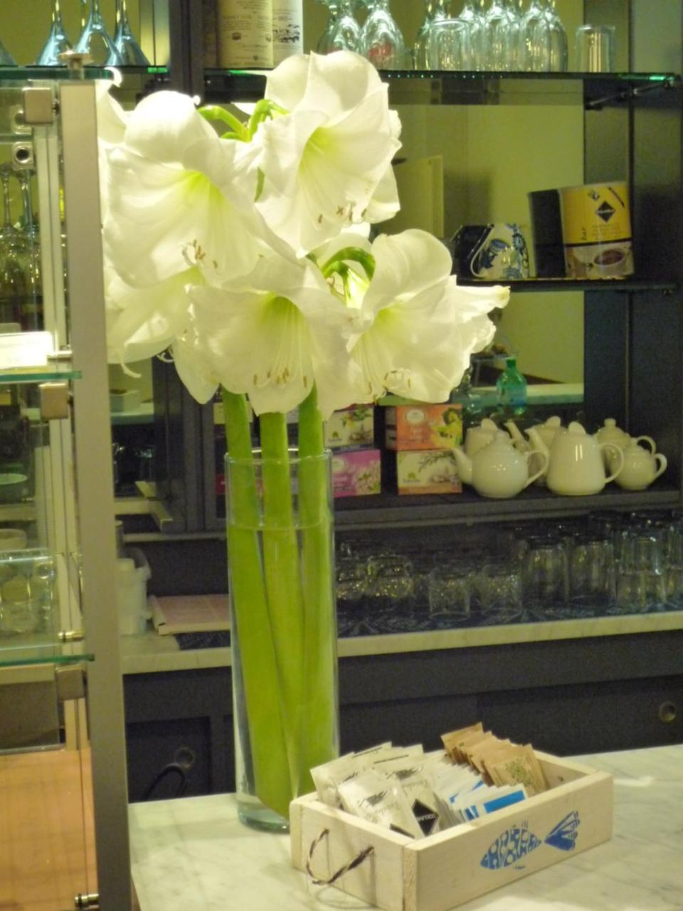马里纳迪马萨 Casa F.A.C.I酒店 外观 照片